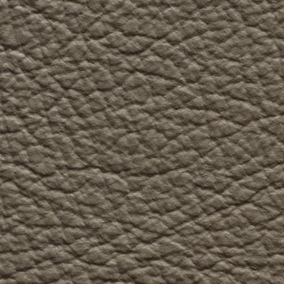 TAUPE 9094